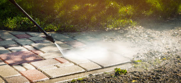 Best Roof Washing  in Palmyra, WI
